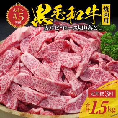 【定期便3回】黒毛和牛 焼肉 カルビ ロース 切り落とし 500g_S001-026-T03A