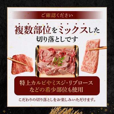【定期便6回】黒毛和牛焼肉カルビロース切り落とし 500g A4～A5_S001-026-T06A