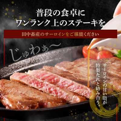 【定期便3回】A4～A5等級黒毛和牛サーロインステーキ1枚300gたれ付_S001-022-T03