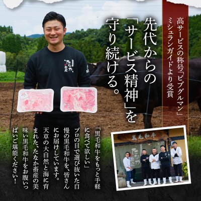 【定期便3回】A4～A5等級黒毛和牛サーロインステーキ1枚300gたれ付_S001-022-T03