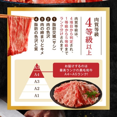 【さとふる限定】隔月定期便6回 A4～A5 黒毛和牛切り落とし1kg_S001-001-T06-M