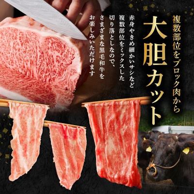 【さとふる限定】隔月定期便6回 A4～A5 黒毛和牛切り落とし1kg_S001-001-T06-M