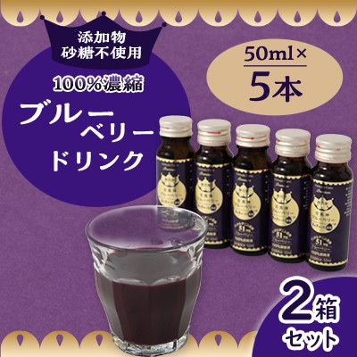 砂糖不使用のぎゅぎゅっと100%濃縮ブルーベリードリンク　2箱(50ml×10本)