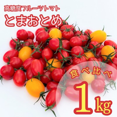 【栃木県産】あま～い高糖度フルーツトマト「とまおとめ」食べ比べ　1kg