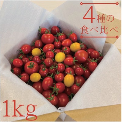 【栃木県産】あま～い高糖度フルーツトマト「とまおとめ」食べ比べ 1kg