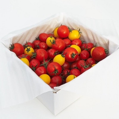 【栃木県産】あま～い高糖度フルーツトマト「とまおとめ」食べ比べ 1kg