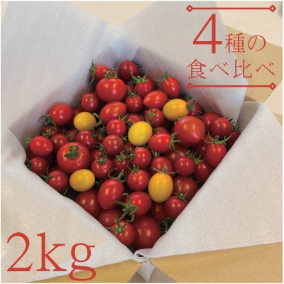 【栃木県産】あま～い高糖度フルーツトマト「とまおとめ」食べ比べ 2kg