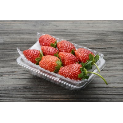 つる付きとちおとめ260g×2パック(12月下旬～1月中旬発送)
