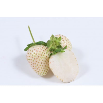 おめでた紅白いちご2種各260g×2パック(12月下旬～1月中旬発送)
