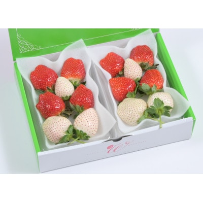 つる付き紅白プレミアムいちご270g×2パック(12月下旬～1月中旬発送)