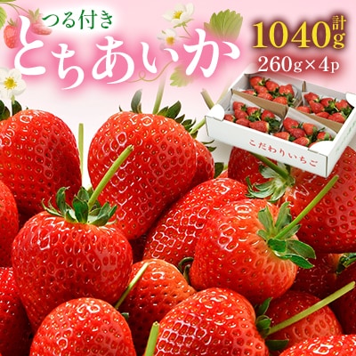 つる付きとちあいか260g×4パック箱(2月上旬～2月中旬発送)