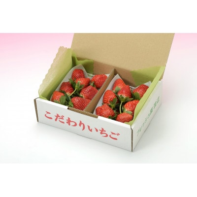 つる付きとちおとめ260g×2パック(2月上旬～2月中旬発送)