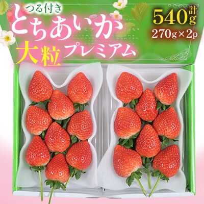 つる付きとちあいか大粒プレミアム270g×2パック(2月上旬～2月中旬発送)