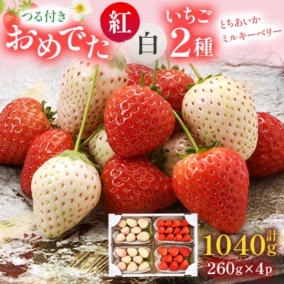 おめでた紅白いちご2種各260g×2パック(2月上旬～2月中旬発送)