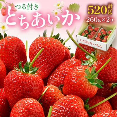 つる付きとちあいか260g×2パック(2月中旬～2月下旬発送)