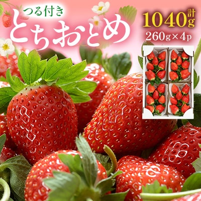 つる付きとちおとめ260g×4パック(3月～5月順次発送)