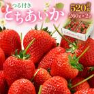 つる付きとちあいか260g×2パック(3月～5月順次発送)