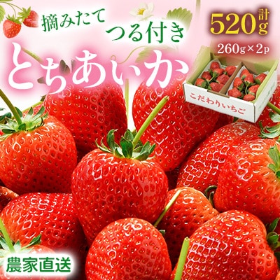 いちご王国 栃木県産 とちあいか 260g×2P 新鮮こだわり つる付き農家直送3月～5月順次発送 | ふるさと納税のお礼品