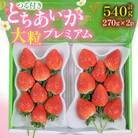 つる付きとちあいか大粒プレミアム270g×2パック(3月～5月順次発送)