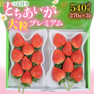 つる付きとちあいか大粒プレミアム270g×2パック(3月～5月順次発送)