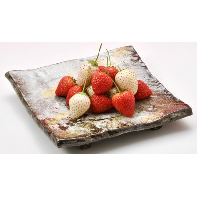 おめでた紅白いちご2種各260g×2パック(3月～5月順次発送)