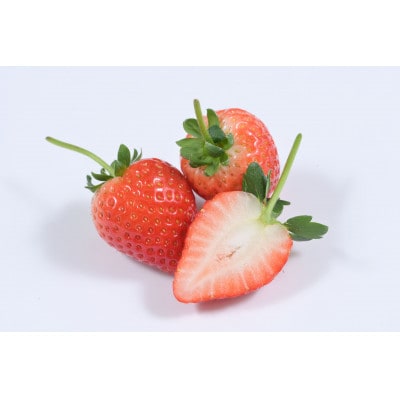 おめでた紅白いちご2種各260g×2パック(3月～5月順次発送)