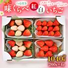 味くらべ紅白いちごセット合計4パック(3月～5月順次発送)