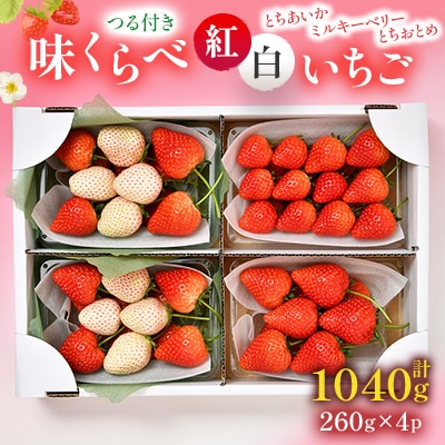 味くらべ紅白いちごセット合計4パック(3月～5月順次発送)