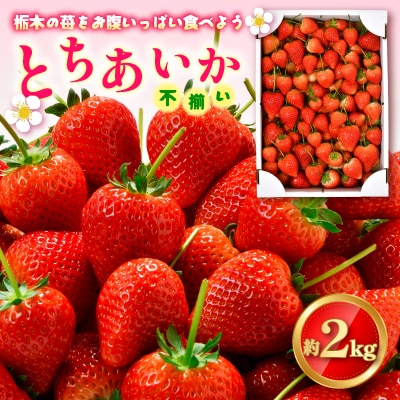 とちあいか不揃い2kg(家庭用、ジャム・冷凍など加工用にも)