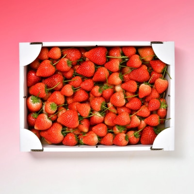 とちあいか不揃い2kg(家庭用、ジャム・冷凍など加工用にも)