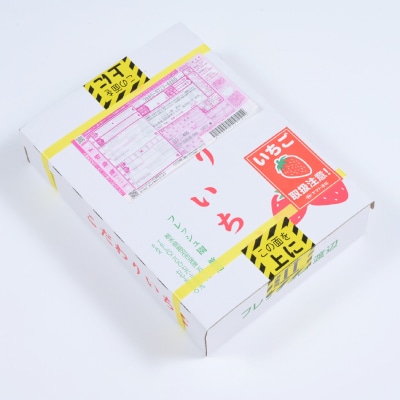 とちあいか不揃い2kg(家庭用、ジャム・冷凍など加工用にも)