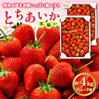 とちあいか不揃い2kg×2箱、計4kg(家庭用、ジャム・冷凍の加工用にも)