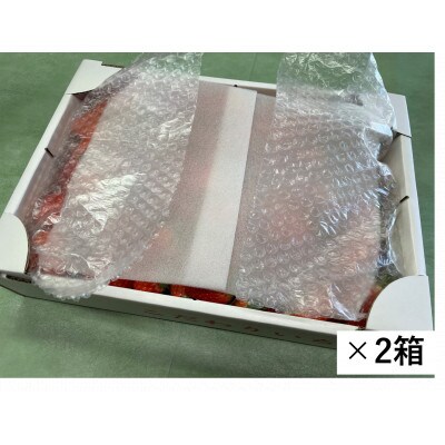 とちあいか不揃い2kg×2箱、計4kg(家庭用、ジャム・冷凍の加工用にも)