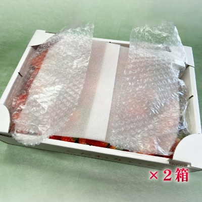 とちあいか不揃い2kg×2箱、計4kg(家庭用、ジャム・冷凍の加工用にも)