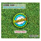 純銀製 七宝焼 オリジナル ゴルフマーカー(Amazing_midori)