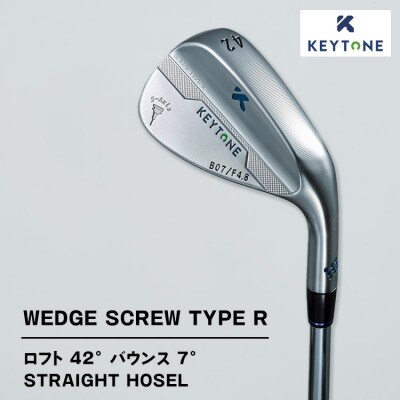 KEYTONE ウェッジ ロフト42° バウンス7° F4.8 Dynamic Gold 120S