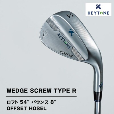 KEYTONE ウェッジ ロフト54° バウンス8° F4.2 Dynamic Gold 120S