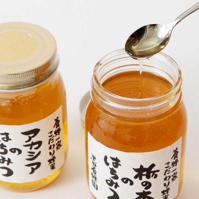 ＜創業100年＞国産天然はちみつ600gおすすめセット