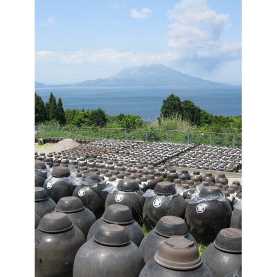 甕壺造り 田七人参酢 配合「白井田七。甕」3箱セット　<特典30包付き>