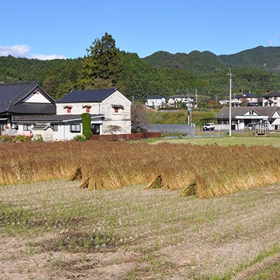 鹿沼市二股山の山麓そば粉