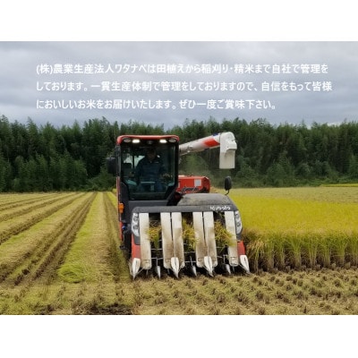 栃木県鹿沼市産 とちぎの星 無洗米 5kg | 栃木県鹿沼市
