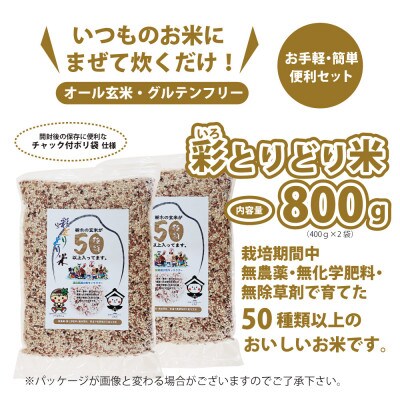 渡良瀬の稔り 発芽する玄米 「彩とりどり米」 800g 雑穀