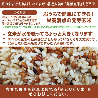 渡良瀬の稔り 発芽する玄米 「彩とりどり米」 800g 雑穀