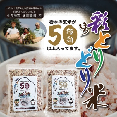 渡良瀬の稔り 発芽する玄米 「彩とりどり米」 2kg 雑穀