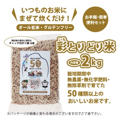 渡良瀬の稔り 発芽する玄米 「彩とりどり米」 2kg 雑穀