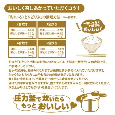 渡良瀬の稔り 発芽する玄米 「彩とりどり米」 2kg 雑穀