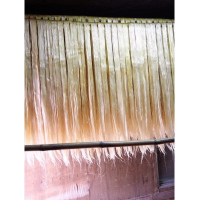 【発送月固定定期便】精麻(神麻) 100g全2回