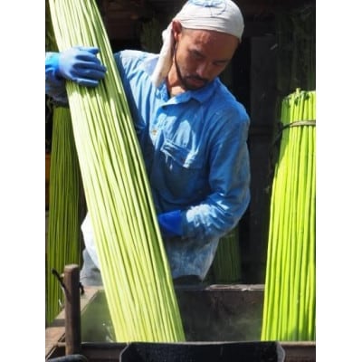 【発送月固定定期便】精麻(神麻) 100g全2回