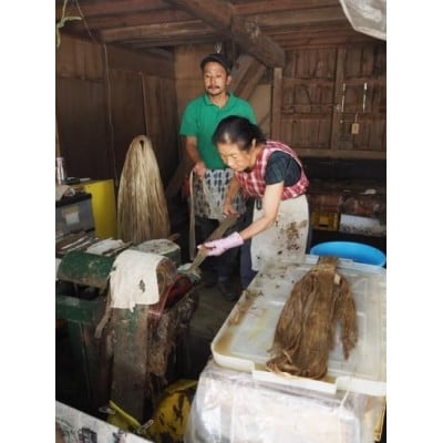 【発送月固定定期便】精麻(神麻) 100g全2回