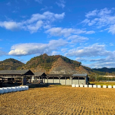 犬幸膳　ドッグフード　一食分　A5ランク黒毛和牛使用　今季限定200食　2026年掲載開始